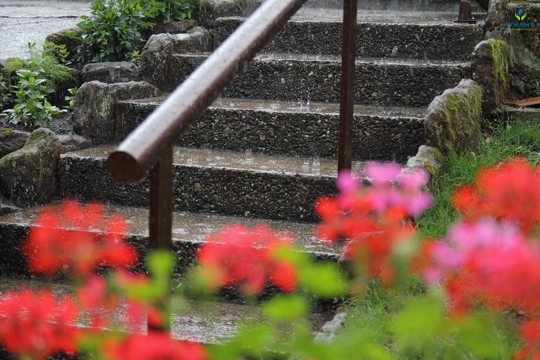 Escalier Pluie